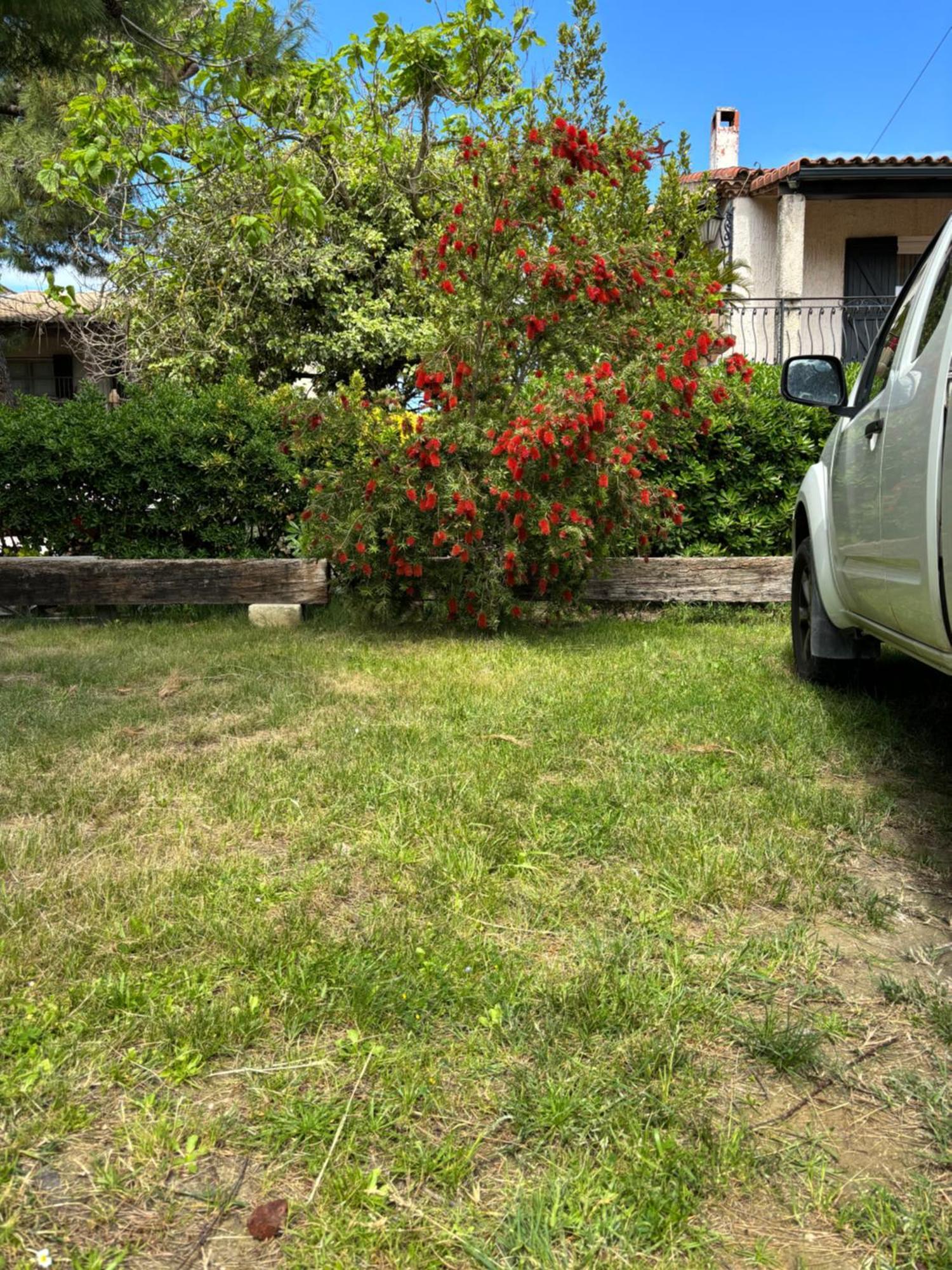 Les Flo Location Apartment Aigues-Mortes Exterior photo
